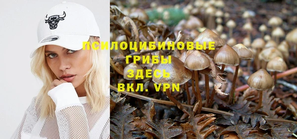 MESCALINE Новокубанск