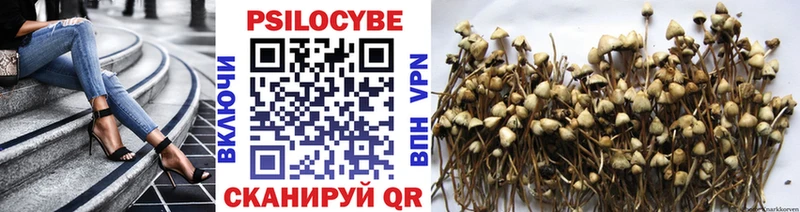 Галлюциногенные грибы Magic Shrooms  Горнозаводск 